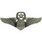 EagleEmblems P16542 Wing-USAF,OBS/NAV,Master (2&#x27;&#x27;)